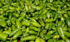 ¿Qué exporta Honduras a otros países?