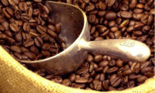 ¿Qué granos básicos produce Honduras?